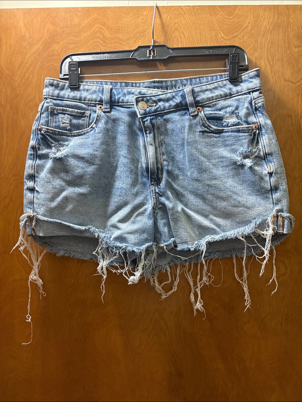 American Eagle Outfitters Light Blue Distressed Frayed Hem Denim Shorts